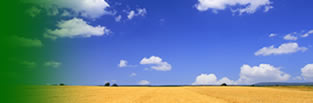 Good harvest weather